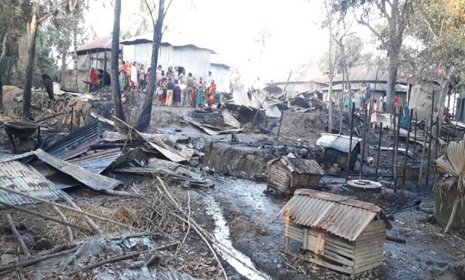 সালথায় ভয়াবহ অগ্নিকান্ডে ১১টি ঘর ভস্মিভূত, অর্ধকোটি টাকার ক্ষতি