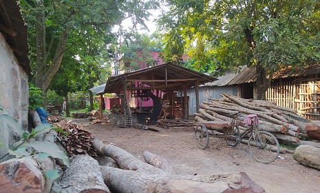 শৈলকূপায় আবাসিক এলাকায় অবৈধ করাত কল, নেই প্রশাসনের নজরদারি