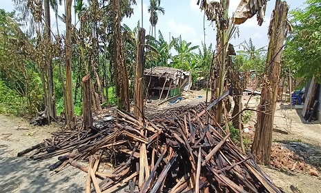 মহম্মদপুরে আগুনে পুড়ে এক নারীর মৃত্যু