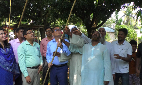 আজ থেকে বাজারে মিলবে চুয়াডাঙ্গার আম