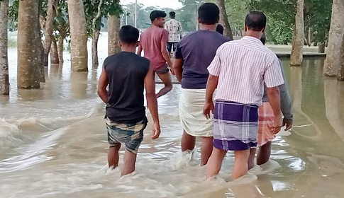 পাহাড়ি ঢলে ছাতকের নিম্নাঞ্চল প্লাবিত, ভোগান্তিতে ৫ গ্রামের মানুষ