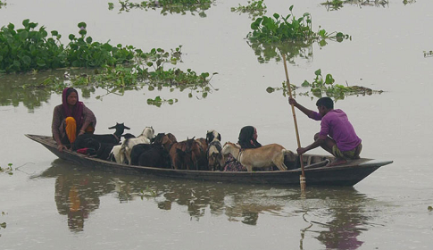 কুড়িগ্রামে বাড়ছে নদ-নদীর পানি, বন্যার আশঙ্কা