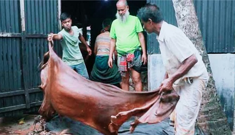 ক্রেতা নেই, চামড়া নিয়ে বিপাকে ব্যবসায়ীরা