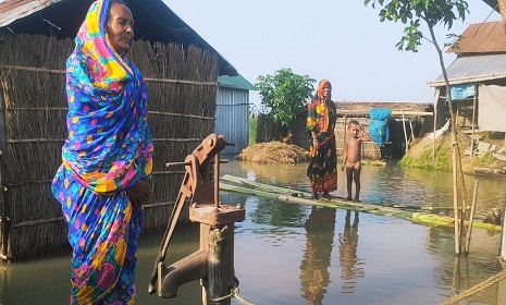 বন্যায় ডুবে আছে চর বালা ডোবা, দেখার কেউ নেই