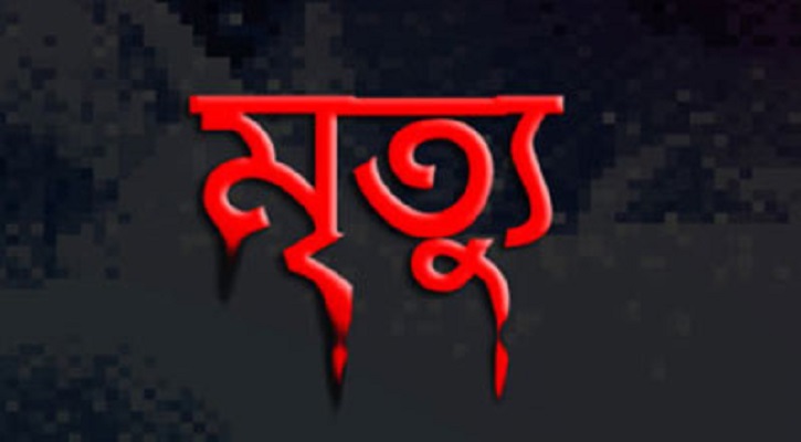 রাজবাড়ীতে অটোবাইক চাপায় শিশুর মৃত্যু