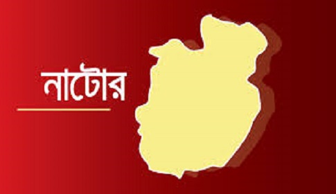 নাটোরে স্ত্রীকে গলা কেটে হত্যা, ৮ বছরের ছেলেকে নিয়ে স্বামী পলাতক