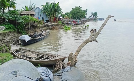 পদ্মাপাড়ে বেড়িবাঁধের জন্য হাহাকার