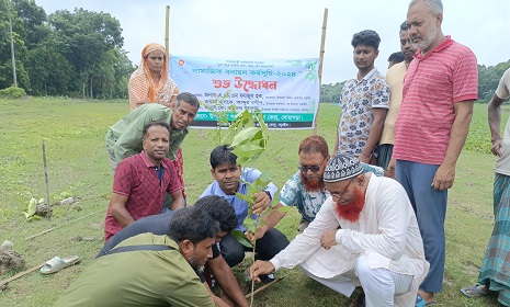 নড়াইলে সামাজিক বনায়ন কর্মসূচির উদ্বোধন