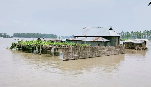 টাঙ্গাইলে ৩৬ হাজার মানুষ পানিবন্দী