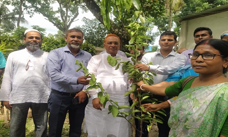 বোয়ালমারীতে শিক্ষকদের হাতে গাছের চারা তুলে দিলেন নবাগত ইউএনও