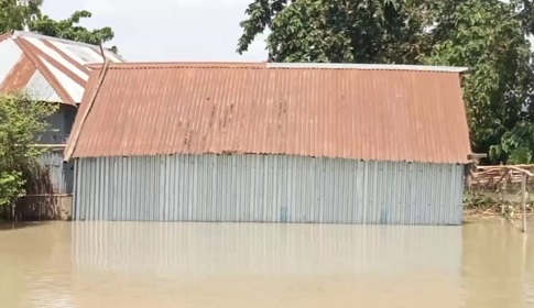 টাঙ্গাইলে ১১৪ গ্রামের ৫০ হাজার মানুষ পানিবন্দি