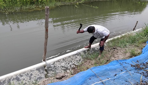 রাজবাড়ীতে অবৈধভাবে বালি উত্তোলন করায় পাইপ ধ্বংস, অর্থদণ্ড