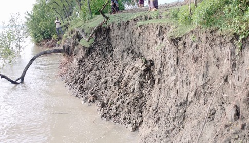 কালিগঞ্জে ইছামতীর বেড়িবাঁধে ধ্বস, আতঙ্কে সীমান্ত গ্রামবাসী