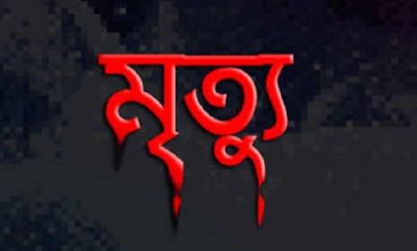 শ্বশুর বাড়িতে বেড়াতে এসে ট্রেনে কাটা পড়ে যুবকের মৃত্যু