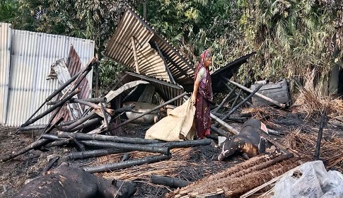 মহম্মদপুরে অগ্নিকাণ্ডে গবাদিপশু পুড়ে ছাই