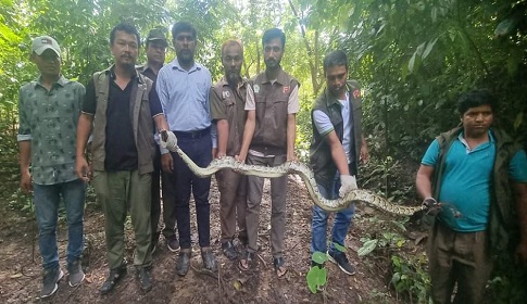 কাপ্তাই জাতীয় উদ্যানে অজগর সাপ অবমুক্ত 