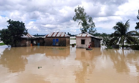 বন্যায় নিহতের সংখ্যা বেড়ে ৫৪