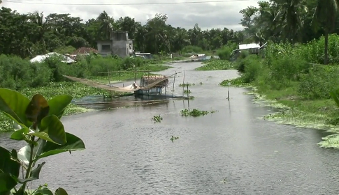 বাগেরহাটে নদী-খাল-চিংড়ি ঘেরে দখল বাণিজ্য