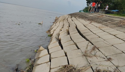 রাজবাড়ীর বেড়িবাঁধ সংলগ্ন তীর প্রতিরক্ষা বাঁধে ফাটল