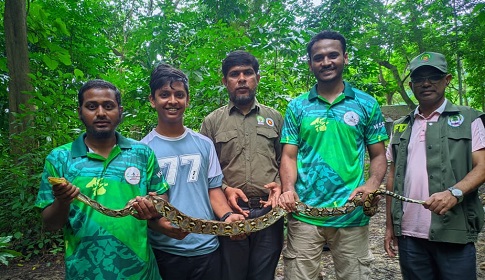 কাপ্তাইয়ে ৭ কেজি ওজনের অজগর সাপ অবমুক্ত