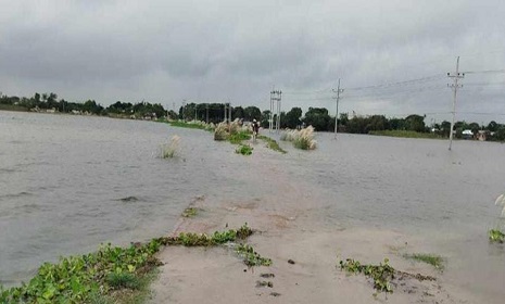 কুষ্টিয়ায় তলিয়ে গেছে ফসলের ক্ষেত, ৩৪ গ্রামের মানুষ পানিবন্দি