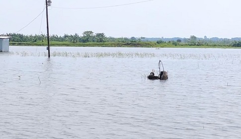 পানি নিষ্কাশনের ব্যবস্থা নেই, বৃষ্টিতে তলিয়ে যাচ্ছে ফসলি জমি