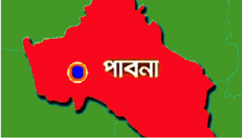 চাটমোহরে তিনটি গাভী চুরি