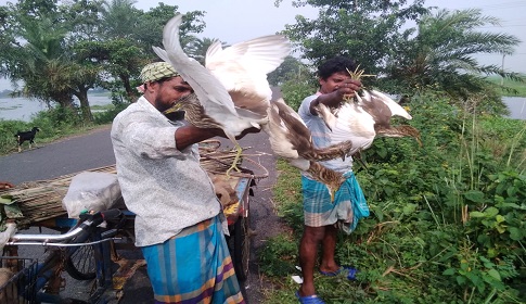 সাংবাদিকের ভালবাসায় মুক্ত আকাশে ডানা মেললো ৪০ বক