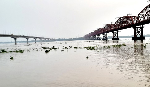 ঈশ্বরদীতে পদ্মার চরের আবাদি জমির ফসল তলিয়ে গেছে