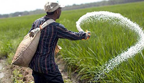 ৯০ হাজার টন সার কিনবে সরকার