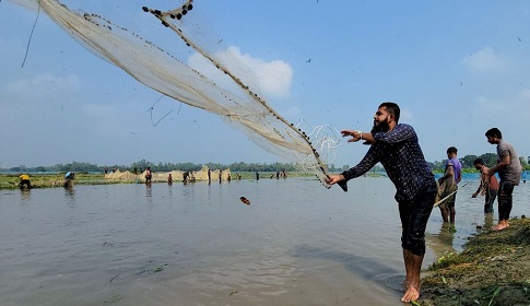 বুড়ির বাঁধে মাছ শিকার উৎসবে মেতেছে ঠাকুরগাঁওবাসী