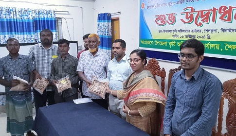 শৈলকুপায় বিনামূল্যে বীজ-সার পাচ্ছেন ৭ হাজার ৪০ কৃষক 