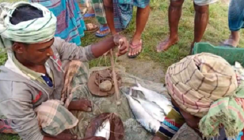 ‘সরকার চাল দিছে, তেল নুন তরি-তরকারির টাকা কনে পাবো?’