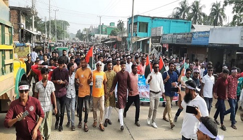 ফুলপুরে পৃথকভাবে যুবদলের প্রতিষ্ঠাবার্ষিকী পালিত