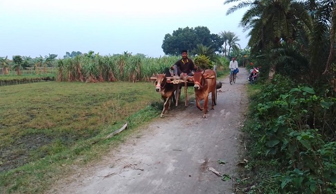 ‘অমঙ্গল’ আতঙ্কে মানুষশূন্য মঙ্গলপুর