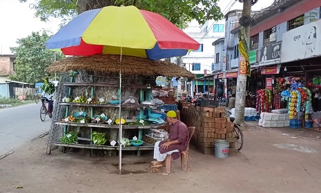 শতবর্ষী গাছে ব্যতিক্রমী সবজির দোকান