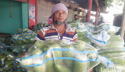 বীরগঞ্জের লাউ যাচ্ছে দেশের বিভিন্ন স্থানে  