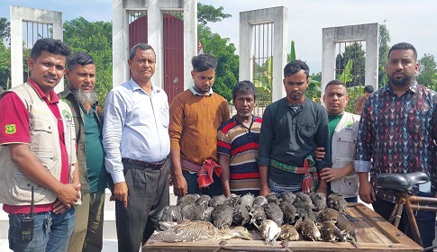 গোপালগঞ্জে ৩ পাখি শিকারীকে কারাদণ্ড দিয়েছে ভ্রাম্যমাণ আদালত