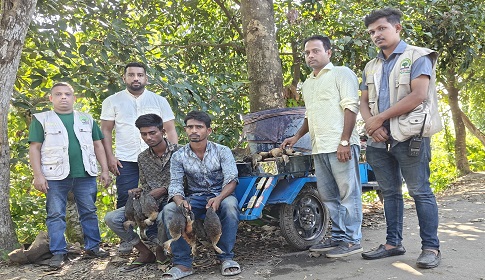 গোপালগঞ্জে পাখি ক্রয়ের অপরাধে ২ জনকে কারাদণ্ড 