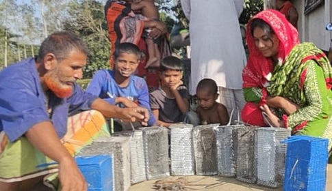 পলাশবাড়ীতে ইঁদুরের কবল থেকে ফসল রক্ষায় কৃষকের পাশে শর্মিলা শারমিন