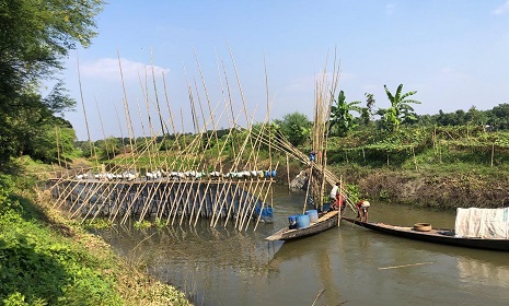 চাটমোহরে সোঁতি বাঁধ অপসারণ