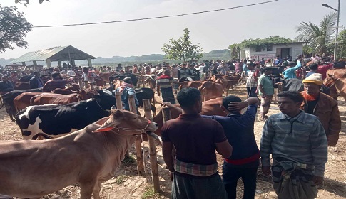 পশুরহাটে ‘খাস আদায়ের’ নামে রাজস্ব লুটপাট  