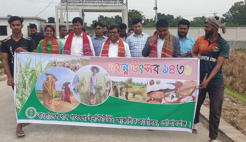 ব্রি গোপালগঞ্জ আঞ্চলিক কার্যালয়ে নবান্ন উৎসব