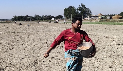 দিনাজপুরে বিএডিসি'র সার নিয়ে তুঘলকি কারবার