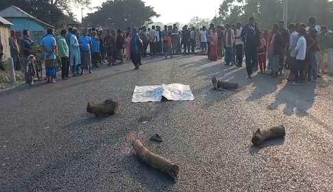 গোপালগঞ্জে ট্রাক চাপায় স্কুল শিক্ষার্থী নিহত