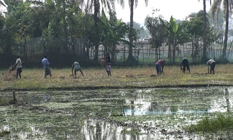 সাতক্ষীরায় জোরপূর্বক জমি দখলের অভিযোগ সাবেক ডিআইজি শাহাদাত হোসেনের বিরুদ্ধে