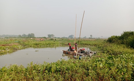 বোয়ালমারীতে অবৈধ ড্রেজার মেশিন দিয়ে বালু উত্তোলন, হুমকিতে ফসলী জমি