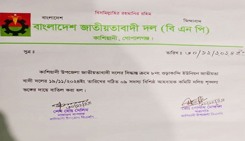 ১১ দিনের মাথায় ইউনিয়ন বিএনপির কমিটি বাতিল