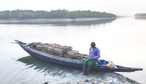 সুন্দরবনে কাঁকড়া ধরায় ২ মাসের নিষেধাজ্ঞা 