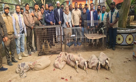 দিনাজপুরে স্বপ্নপুরী পার্ক ও মিনি চিড়িয়াখানা থেকে ৭৪টি বন্যপ্রাণী জব্দ